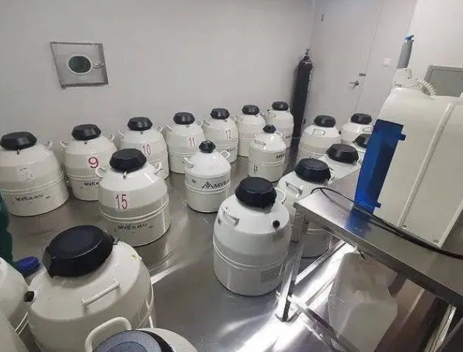 液氮儲存 液氮儲存